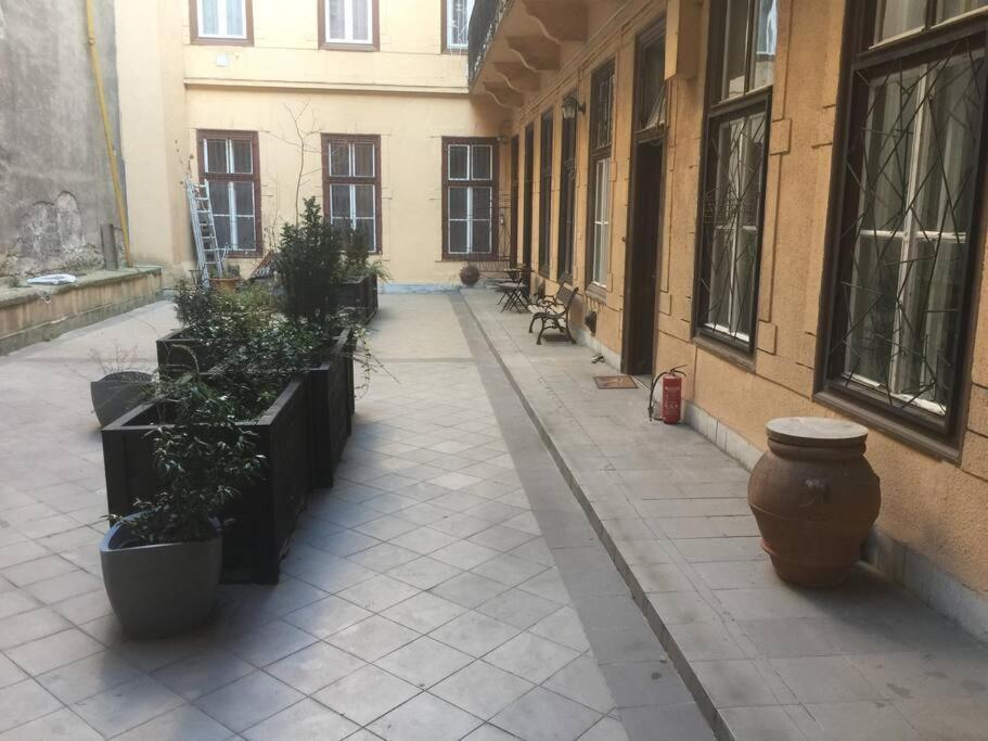 Central Apartment Kiraly Street บูดาเปสต์ ภายนอก รูปภาพ
